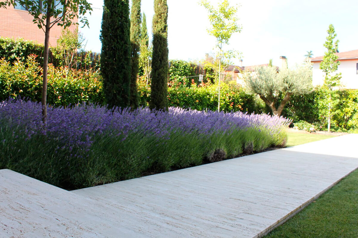 Estudio de interiorismo en Madrid, proyecto Elva